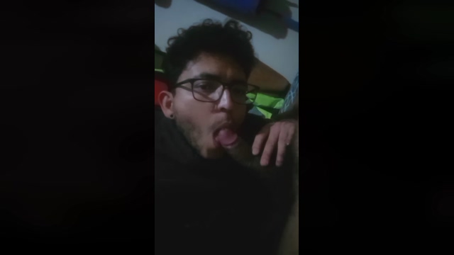 gatovergon1  27-02-2022